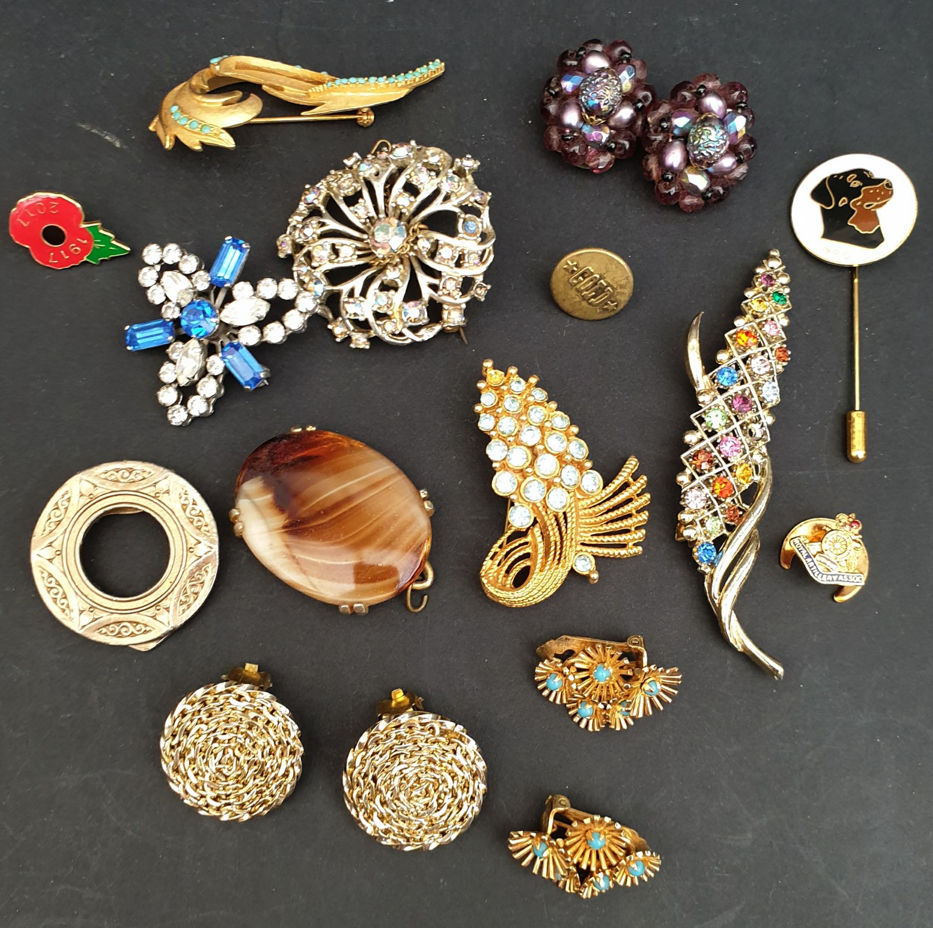 Costume Jewellery Brooches Ear Rings & Badges