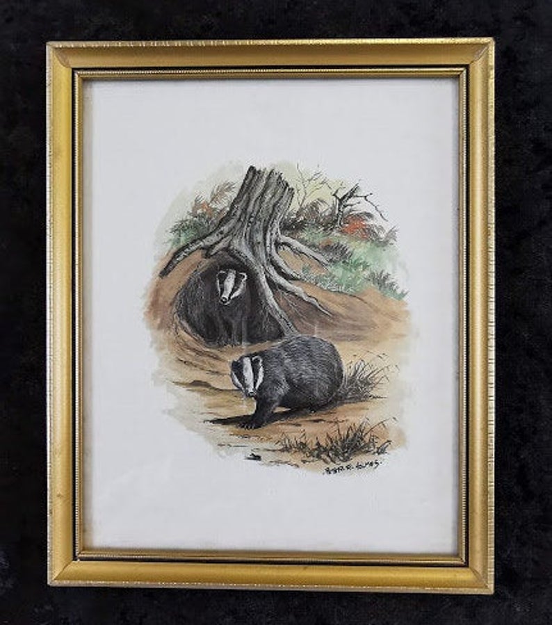 Set of Four Framed prints of wildlife by Peter H Holmes Otters Foxes Badgers Squirrels - Image 4 of 6