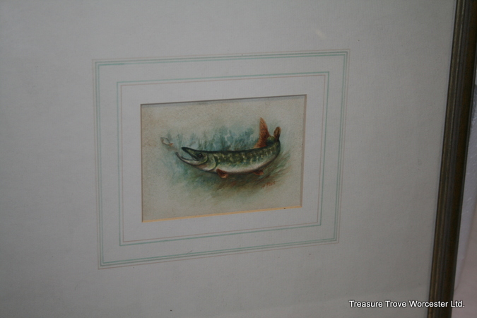 Signed Harry Davis Watercolour "Pike" - Image 2 of 3