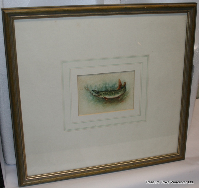 Signed Harry Davis Watercolour "Pike"