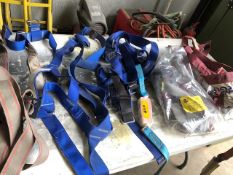 6 sets of safety harnesses