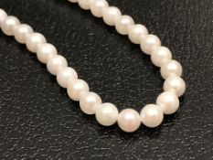 Akoya Pearls