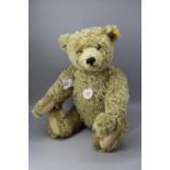 Steiff 1920 Classic Growling Teddy Bear