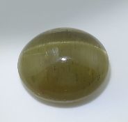 IGI Certified 7.36 ct. Natural Cat's Eye Apatite - Africa