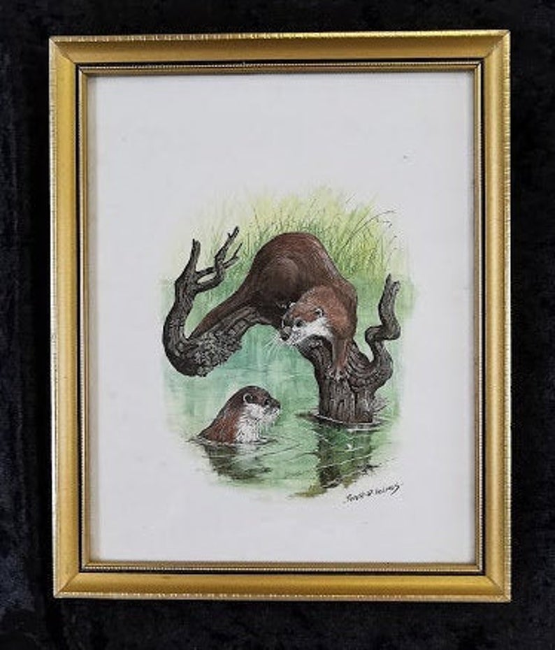 Set of Four Framed prints of wildlife by Peter H Holmes Otters Foxes Badgers Squirrels