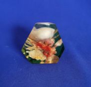 Vintage 1960s Kitsch Lucite Sea Shells Shrimp Paperweight Portugal