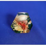 Vintage 1960s Kitsch Lucite Sea Shells Shrimp Paperweight Portugal