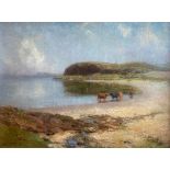 Duncan Macgregor Whyte original signed oil painting "Argyllshire Shoreline"