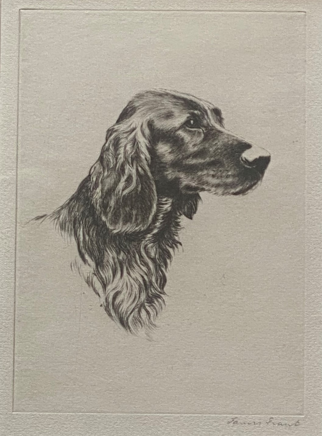 Original Signed Etching Of Setter Dogs - James Grant