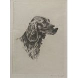 Original Signed Etching Of Setter Dogs - James Grant
