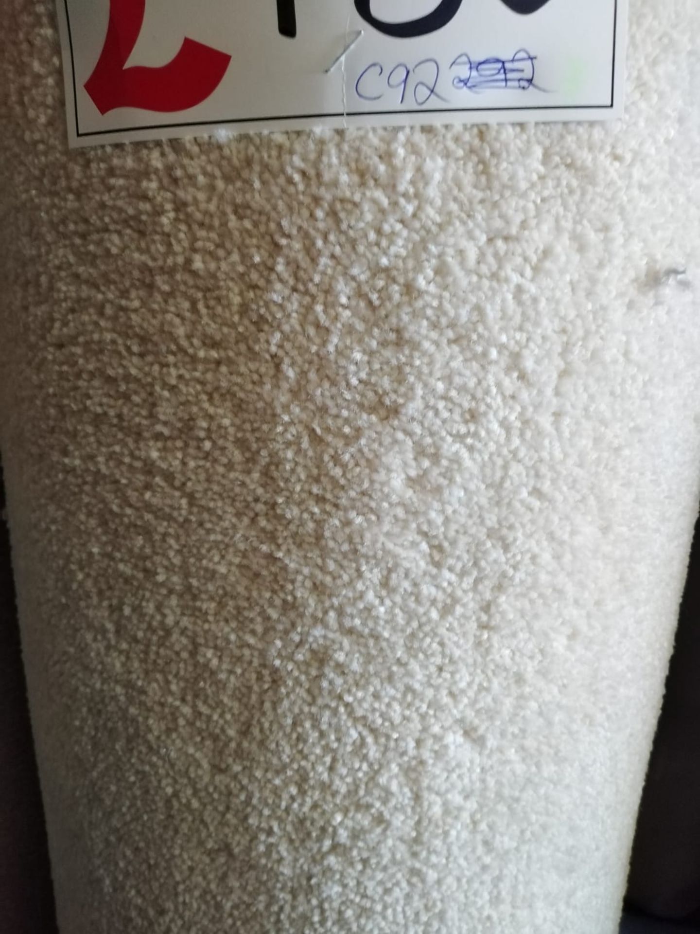 Surrey Pearl Polypropylene Carpet 19'6X13' (6X4M) - Image 2 of 2