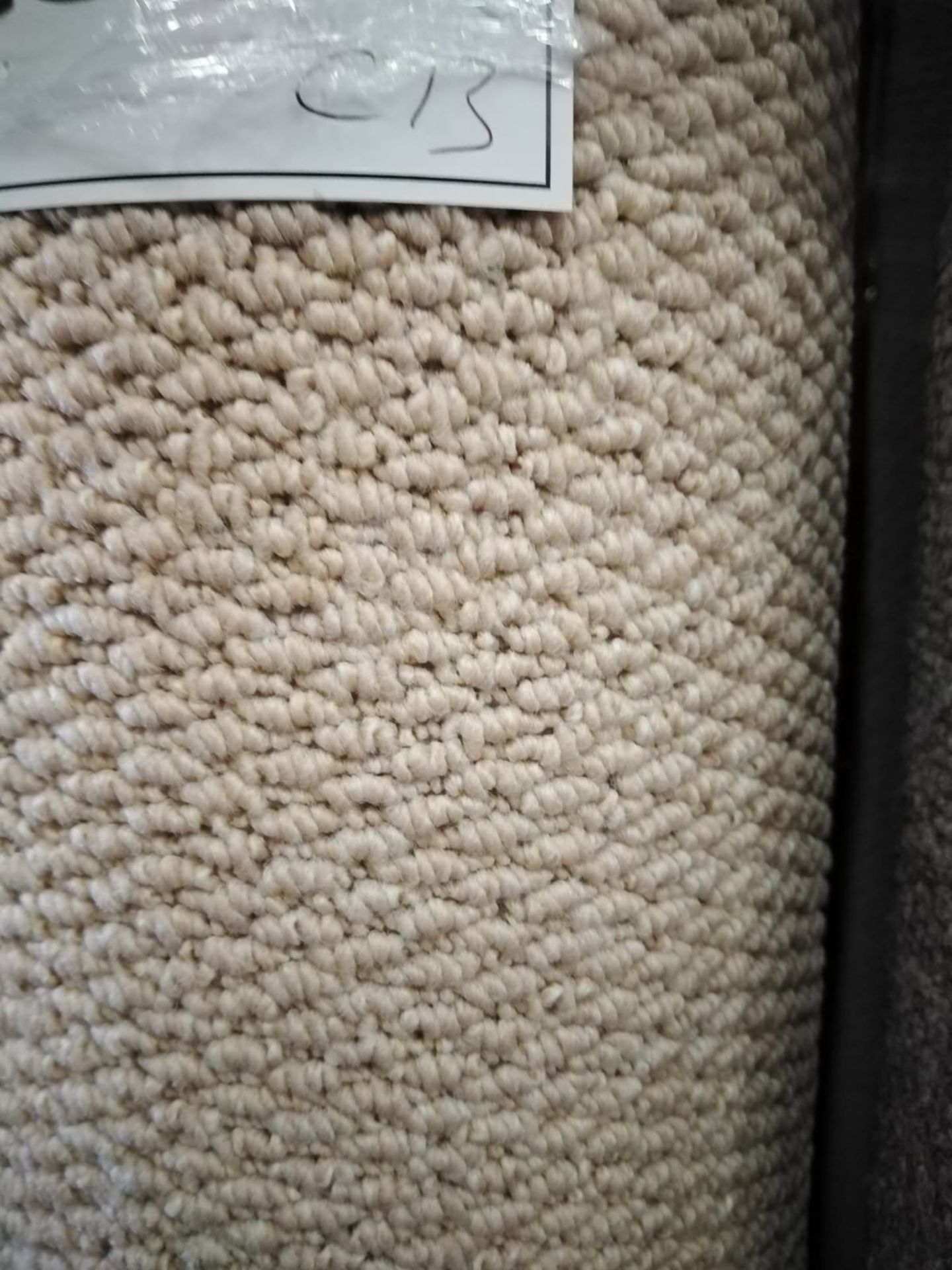 Regatta It Beige Polypropylene Carpet 12'X13' (3.6X4M)