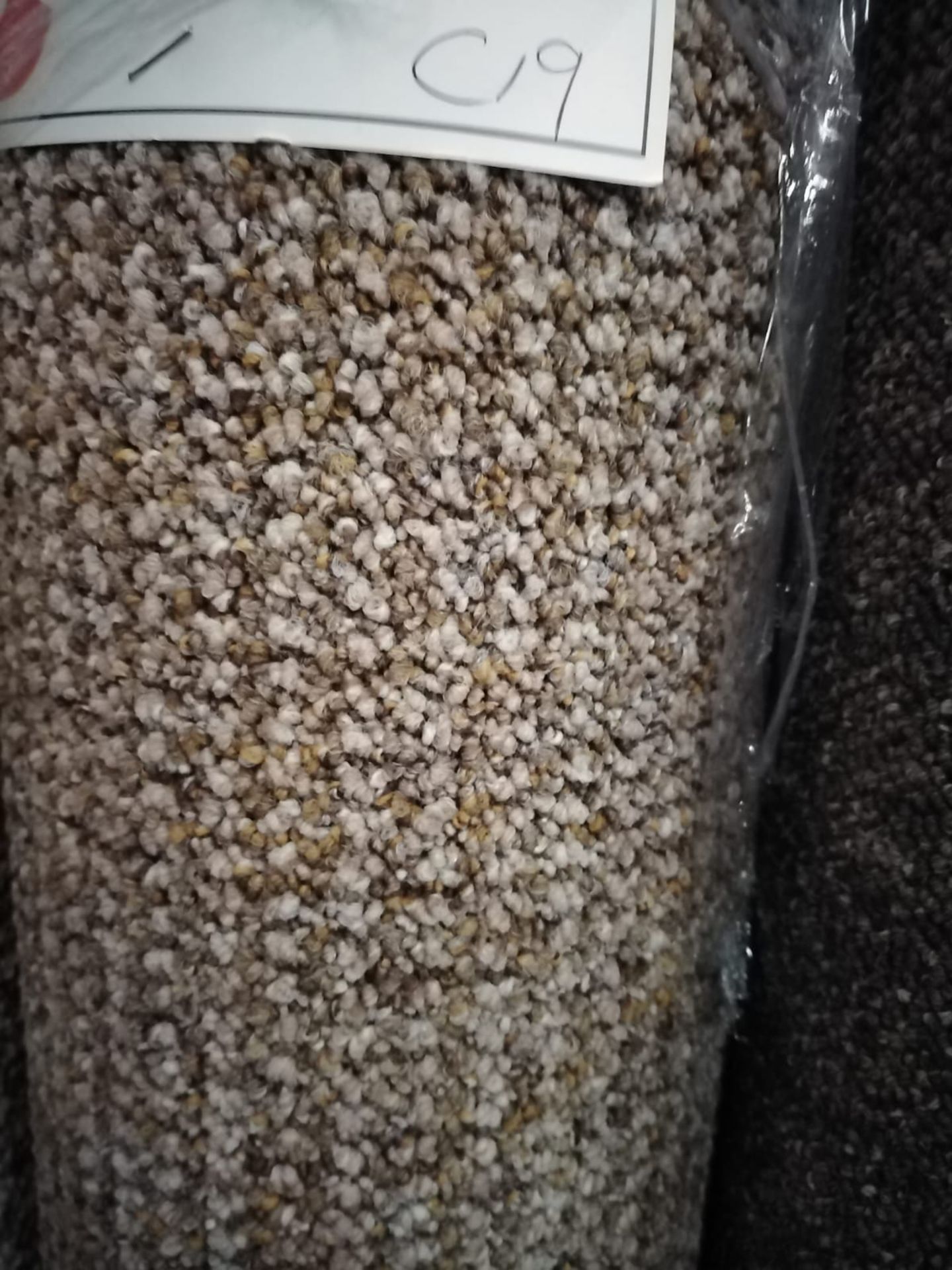 Bolero Tan Polypropylene Carpet 11'3X13' (3.5X4M)