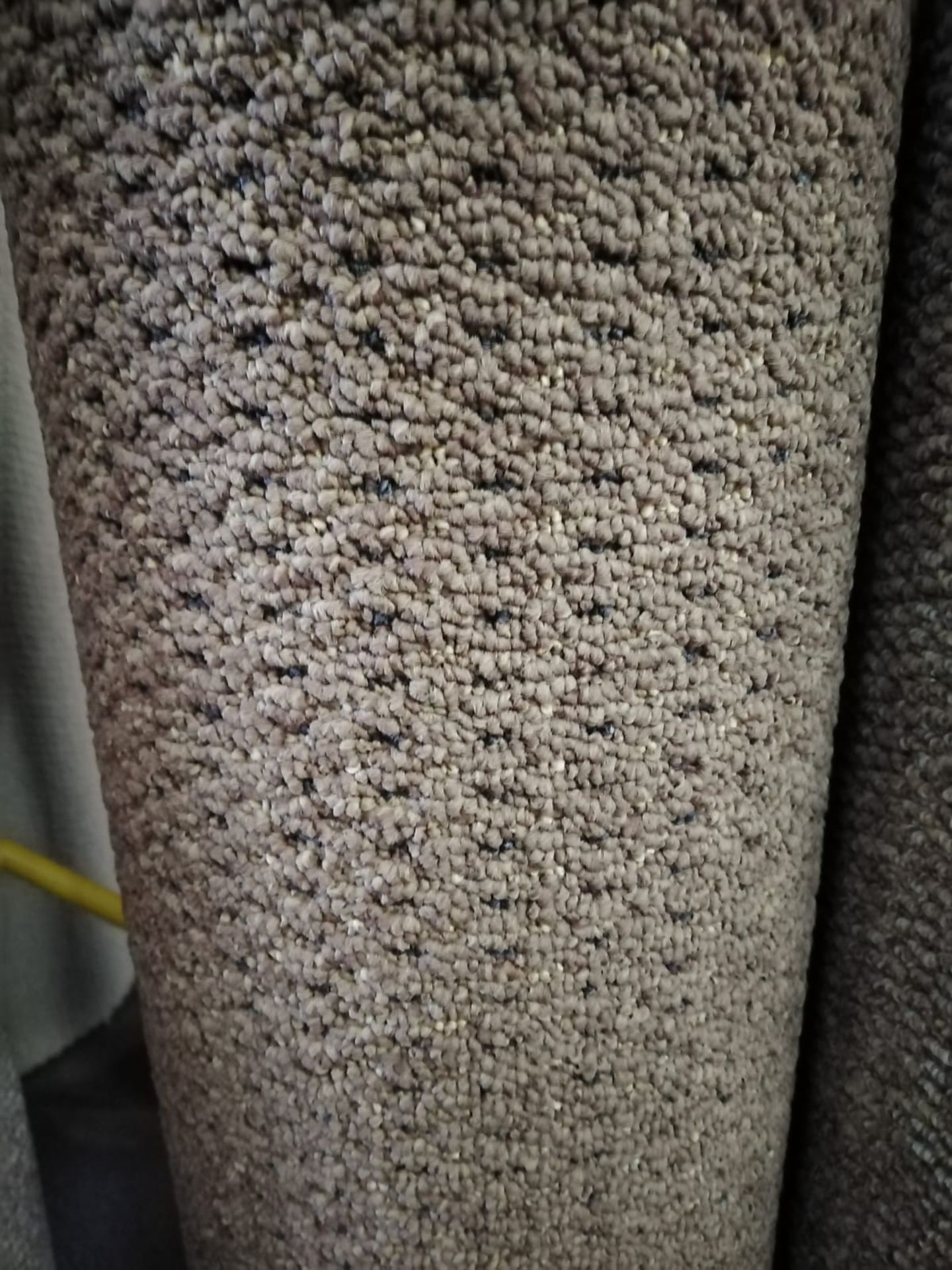 Madrid 7717 Polypropylene Carpet (Code C3), 18'7X13' (5.7X4)