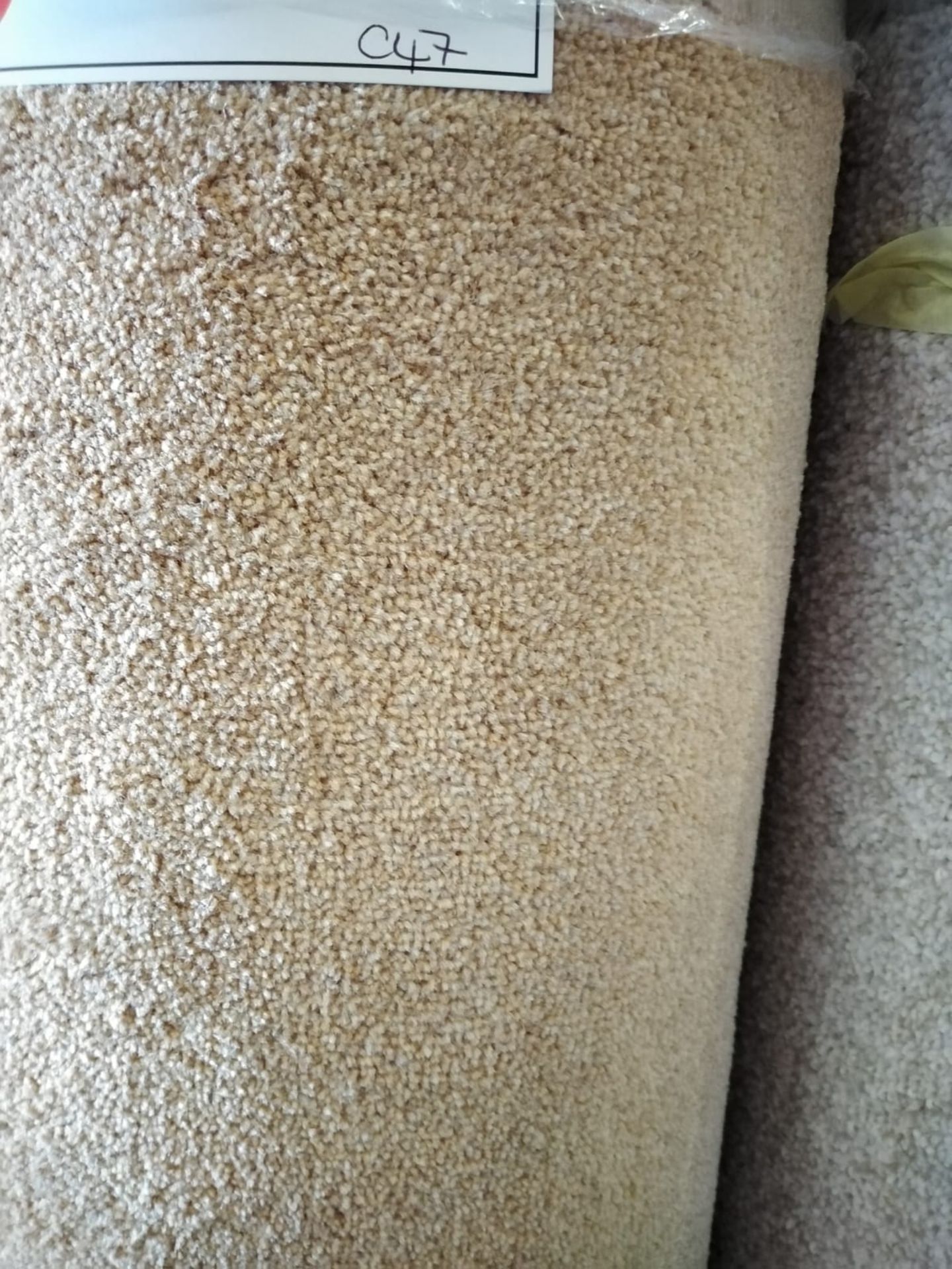 Smart Twist Spice Polypropylene Carpet 28'X13' (8.6X4M) - Image 2 of 2