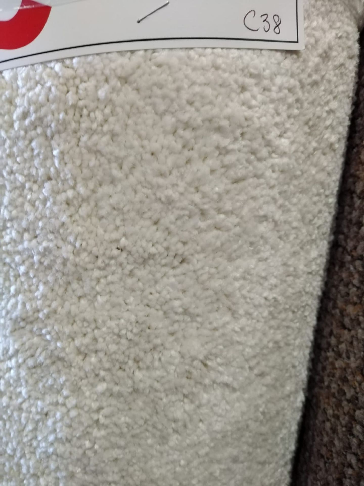 Pearl 262 Polypropylene Carpet 10'X13' (3.1X4M) - Image 2 of 2