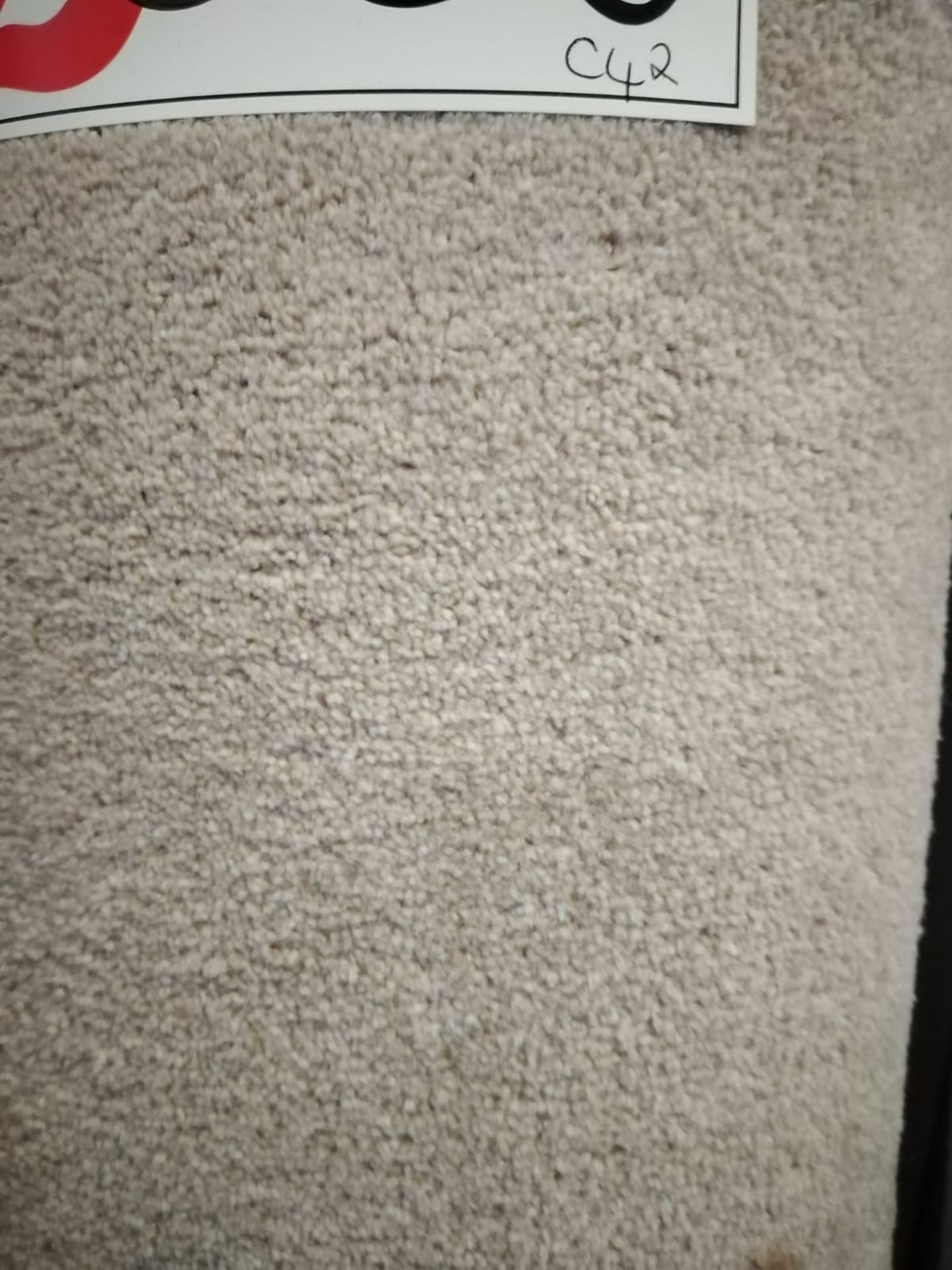 Smart Sandstone 100% Polypropylene Carpet 16'3X13' (5X4M) - Image 2 of 2