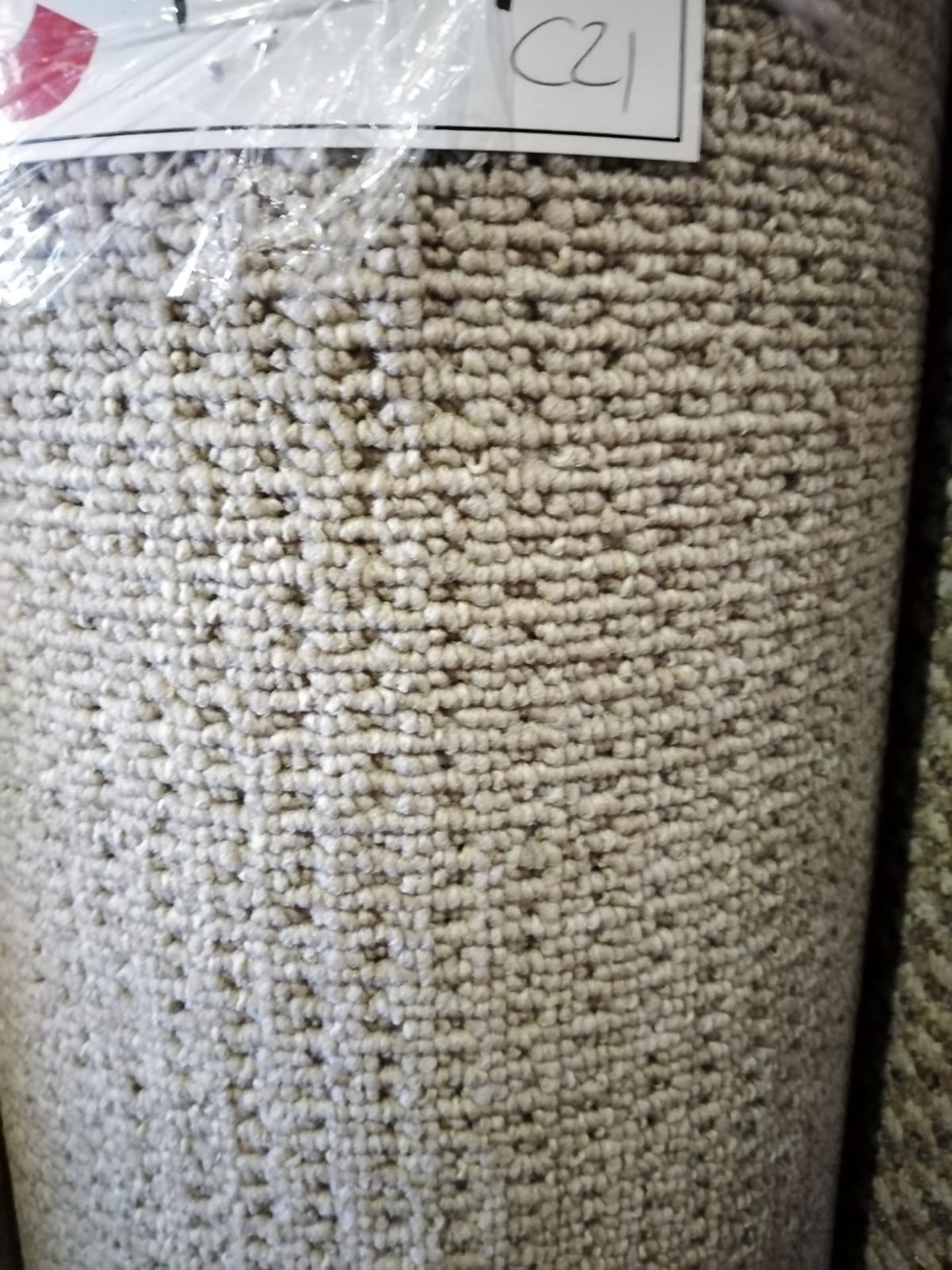 Settle 1813 100% Polypropylene Carpet 24'X13' (7.3X4M)
