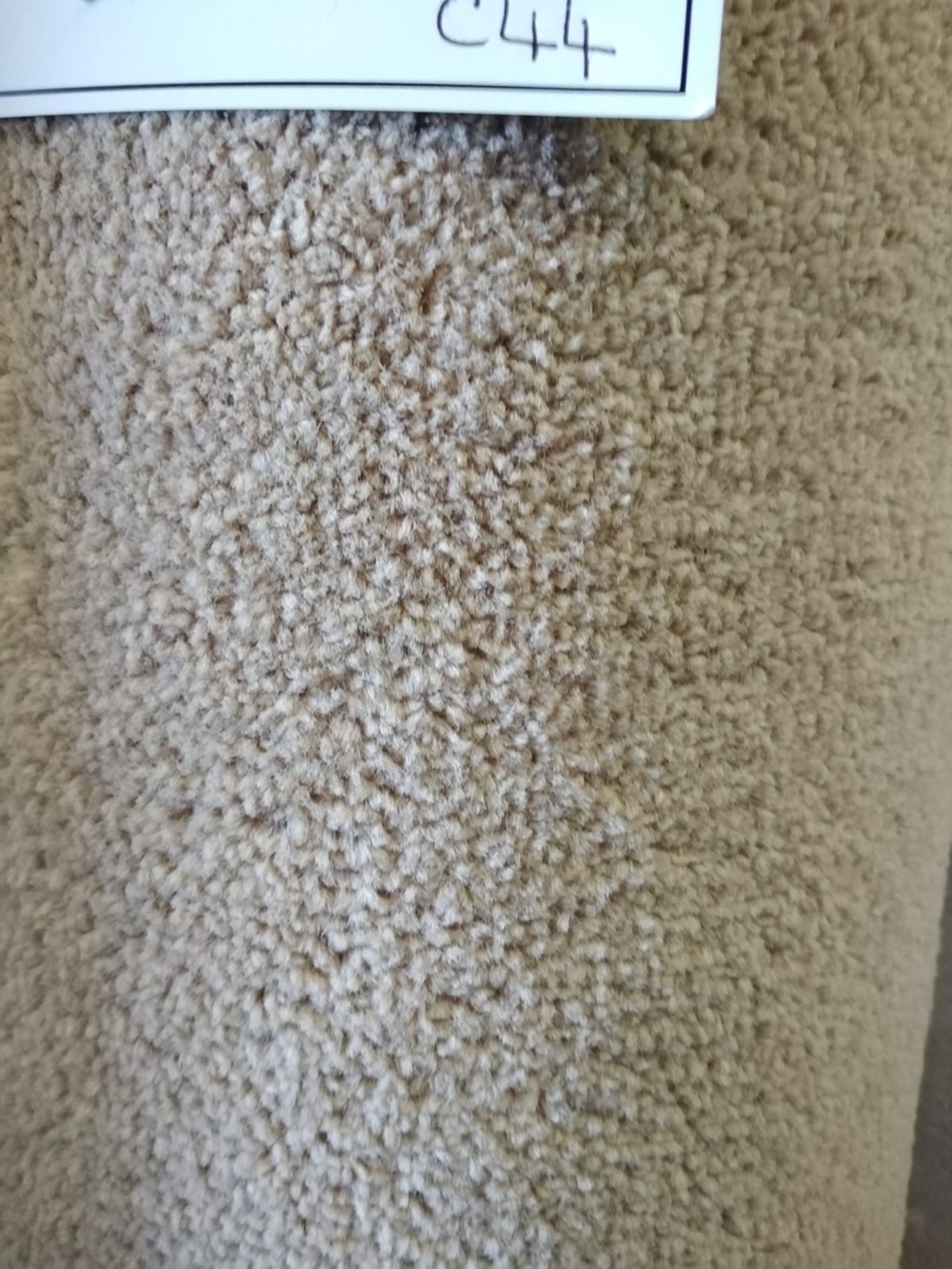 Vantage Berber Polypropylene Carpet 21'3X13' (6.5X4) - Image 2 of 2