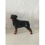 Vintage Beswick China England Rottweiler Dog Figurine