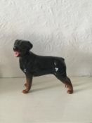 Vintage Beswick China England Rottweiler Dog Figurine