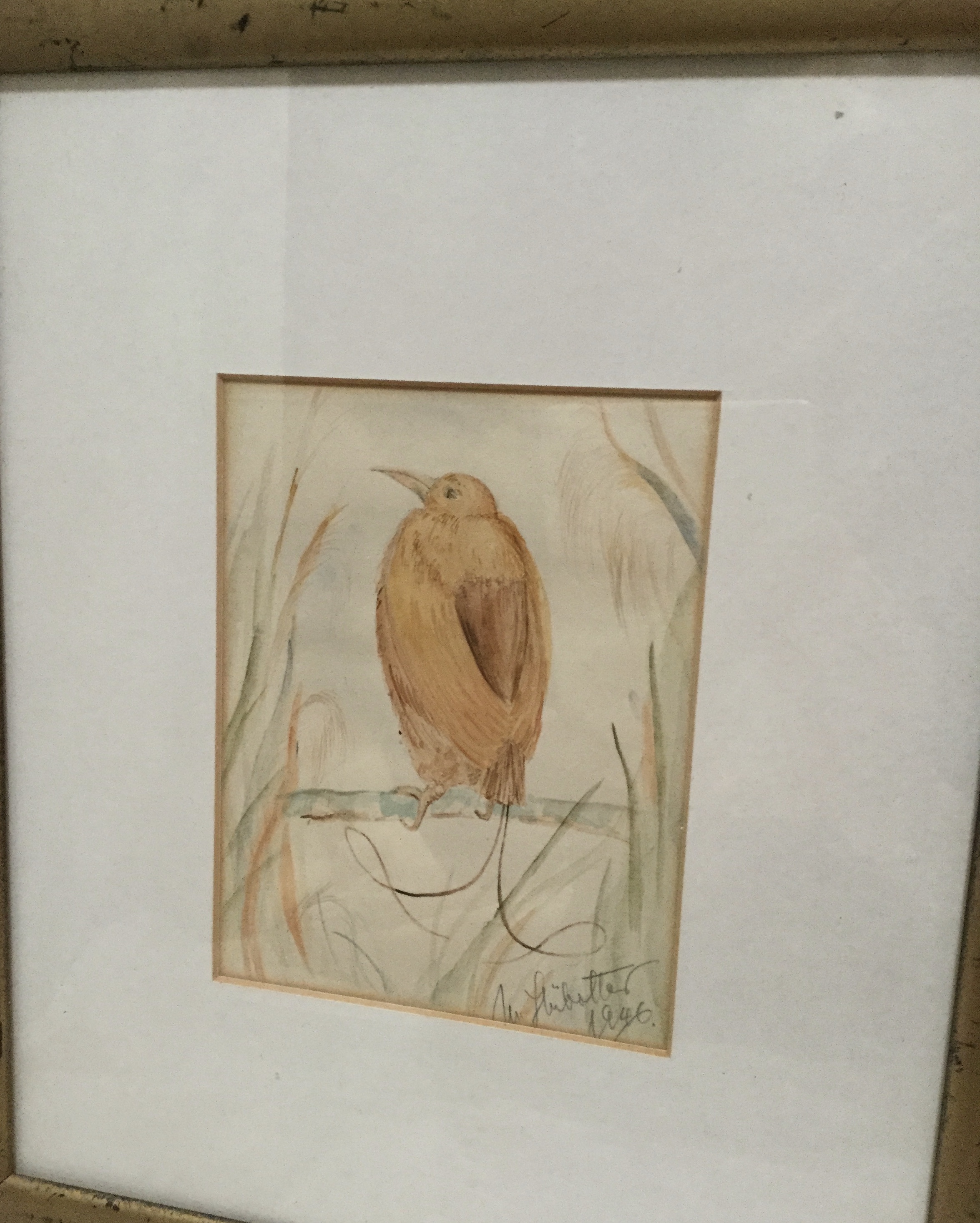 Watercolour Bird. Dated 1946 - Image 4 of 7