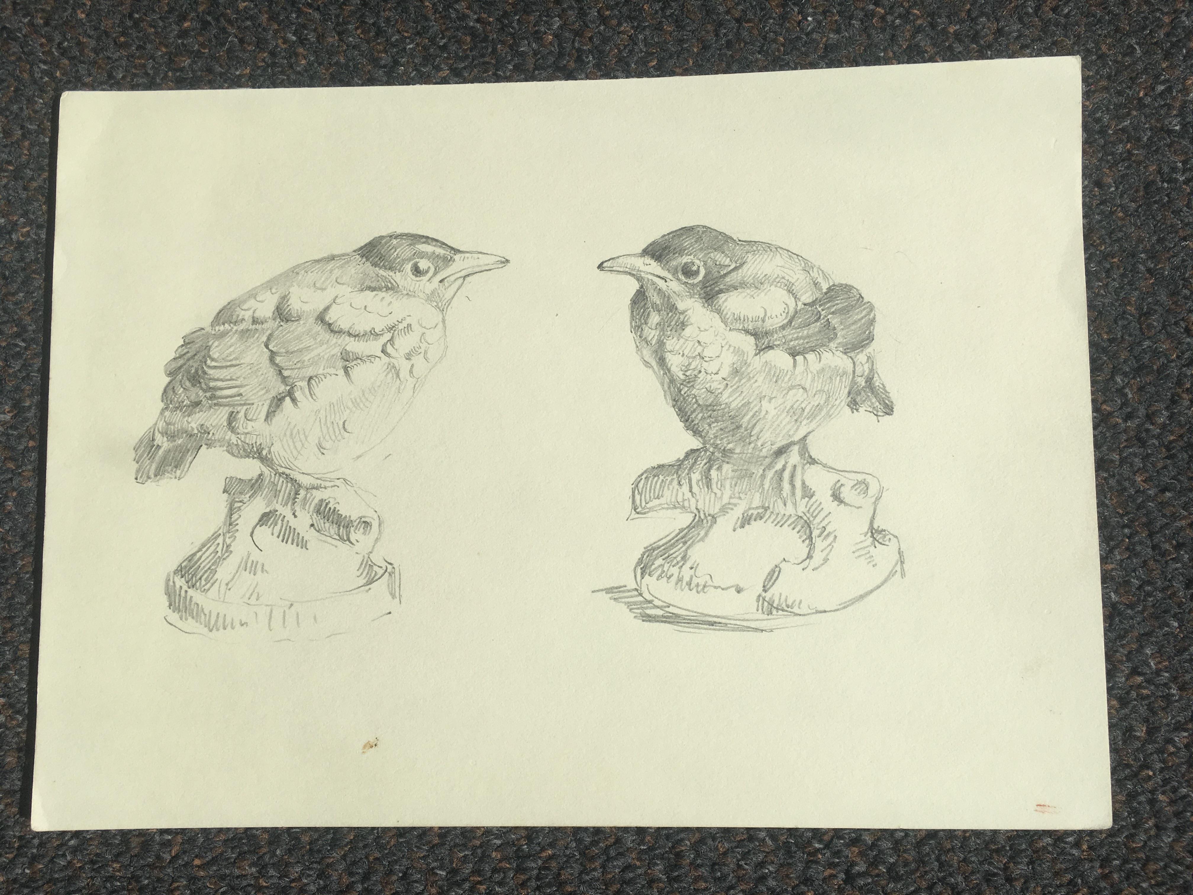 Pencil sketch bird ornament 7x9 3/4