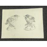 Pencil sketch bird ornament 7x9 3/4