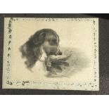 Signed date 1907 pencil sketch of a dog 13x17