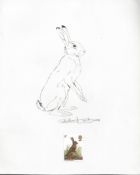 G.B. - Queen Elizabeth II 1977 British Wildlife Issue pencil drawing of a hare on paper, drawn an...