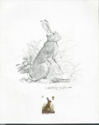 G.B. - Queen Elizabeth II 1977 British Wildlife Issue pencil drawing of a hare with background de...