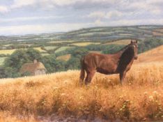 Original Signed Oil painting by David Morgan Horse within Farm Land