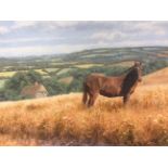 Original Signed Oil painting by David Morgan Horse within Farm Land