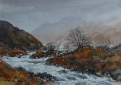 "Glen Torridon" Scottish highland view Original Watercolour by E Grieg Hall