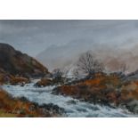 "Glen Torridon" Scottish highland view Original Watercolour by E Grieg Hall