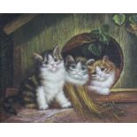 Small Oil Painting of Kittens Signed Set in Frame