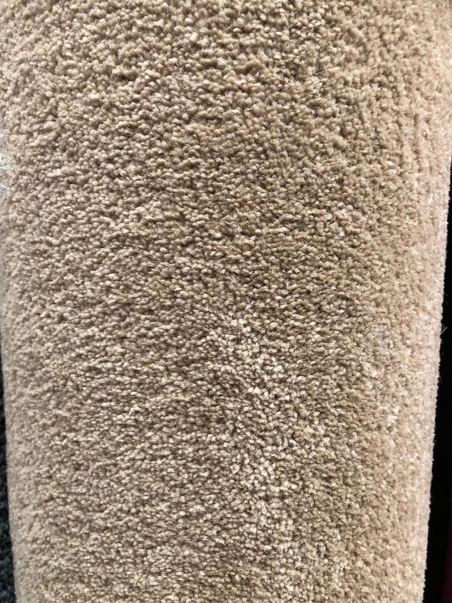 Dynasty camel twist polypropylene 5.1m x 4m code c223