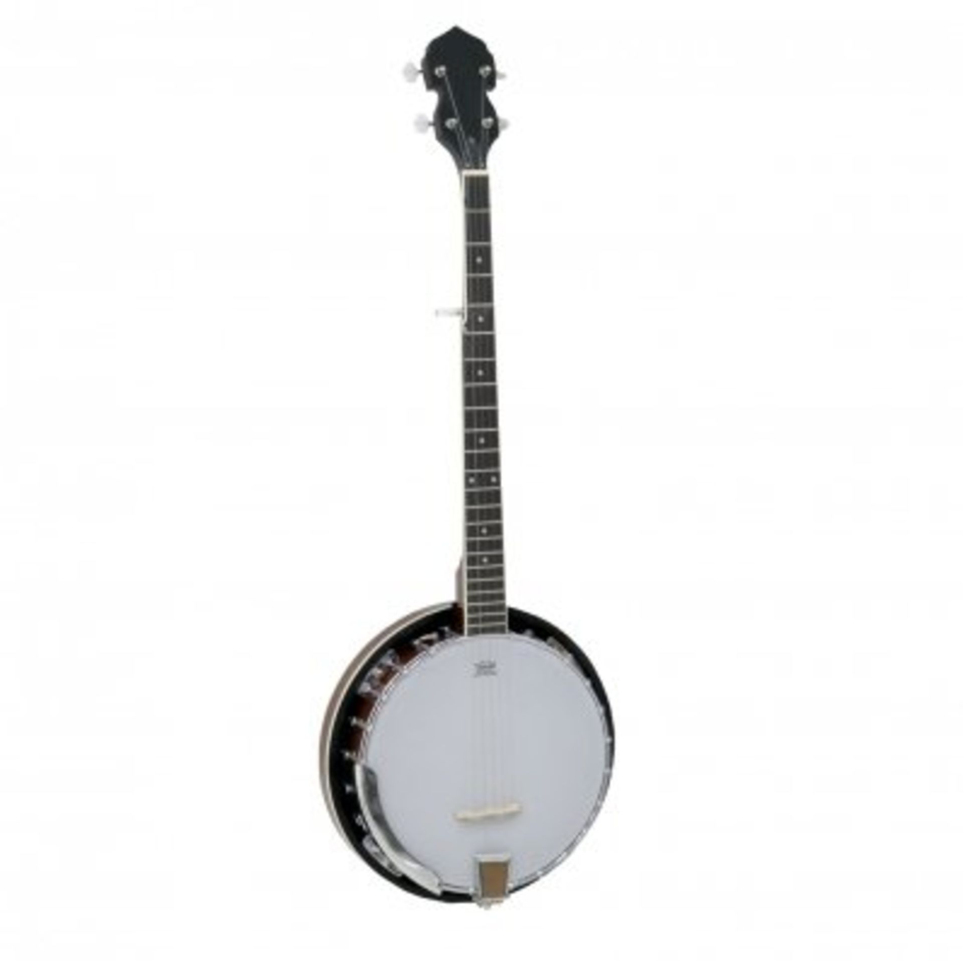 (RU45) 5 String Bluegrass Banjo with Remo Skin The 5 string bluegrass banjo is great looking...