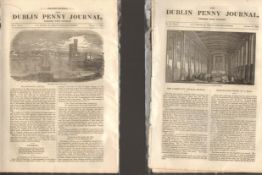 Antique set; Featuring 2 editions of The Dublin Penny Journal published 1882 (#10)