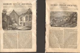 Antique set; Featuring 2 editions of The Dublin Penny Journal published 1882 (#3)