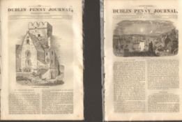 Antique set; Featuring 2 editions of The Dublin Penny Journal published 1882 (#13)