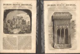 Antique set; Featuring 2 editions of The Dublin Penny Journal published 1882 (#12)