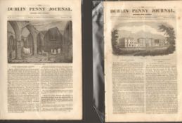 Antique set; Featuring 2 editions of The Dublin Penny Journal published 1882 (#1)