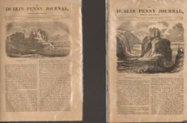 Antique set; Featuring 2 editions of The Dublin Penny Journal published 1882 (#4)