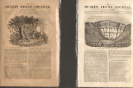 Antique set; Featuring 2 editions of The Dublin Penny Journal published 1882 (#24)