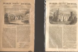 Antique set; Featuring 2 editions of The Dublin Penny Journal published 1882 (#17)