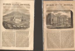 Antique set; Featuring 2 editions of The Dublin Penny Journal published 1882 (#2)