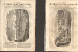 Antique set; Featuring 2 editions of The Dublin Penny Journal published 1882 (#15)