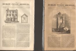 Antique set; Featuring 2 editions of The Dublin Penny Journal published 1882 (#16)