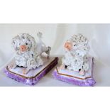 Antique Staffordshire Porcelain Poodles Seated On Cushions C.1850'S